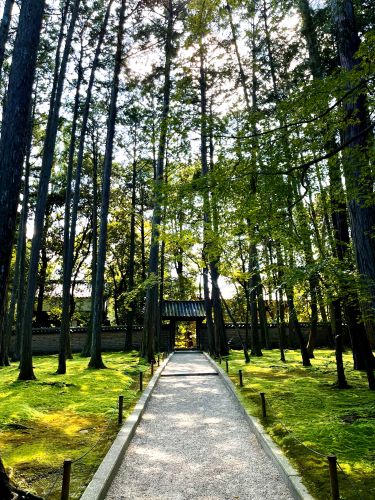 奈良県　奈良市　唐招提寺　御朱印