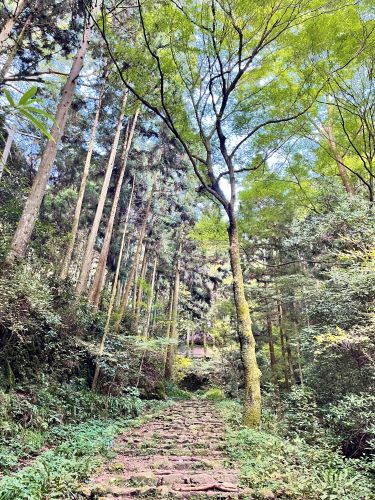 大阪府　和泉市　施福寺　槇尾寺　御朱印