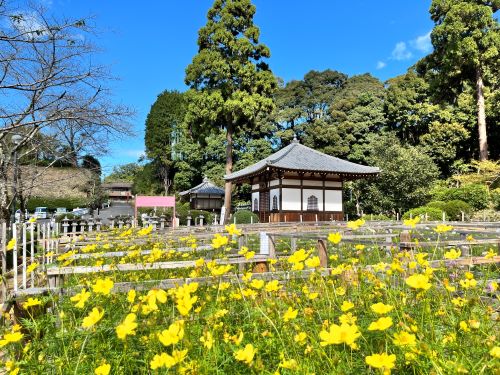 奈良県　桜井市　安倍文珠院　御朱印