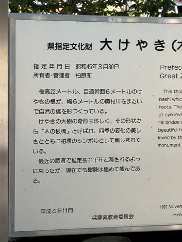 兵庫県丹波市柏原町　木の根橋
