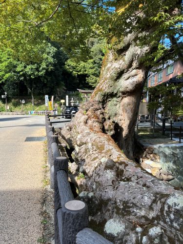 兵庫県丹波市柏原町　木の根橋
