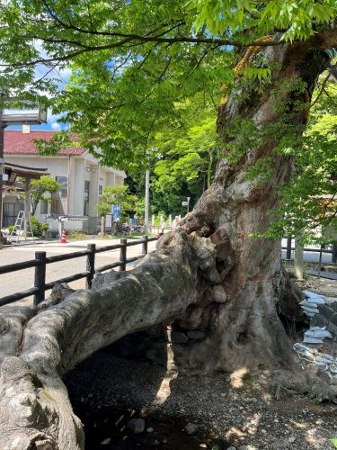 兵庫県丹波市柏原町　木の根橋