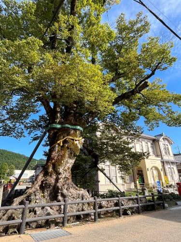 兵庫県丹波市柏原町　木の根橋